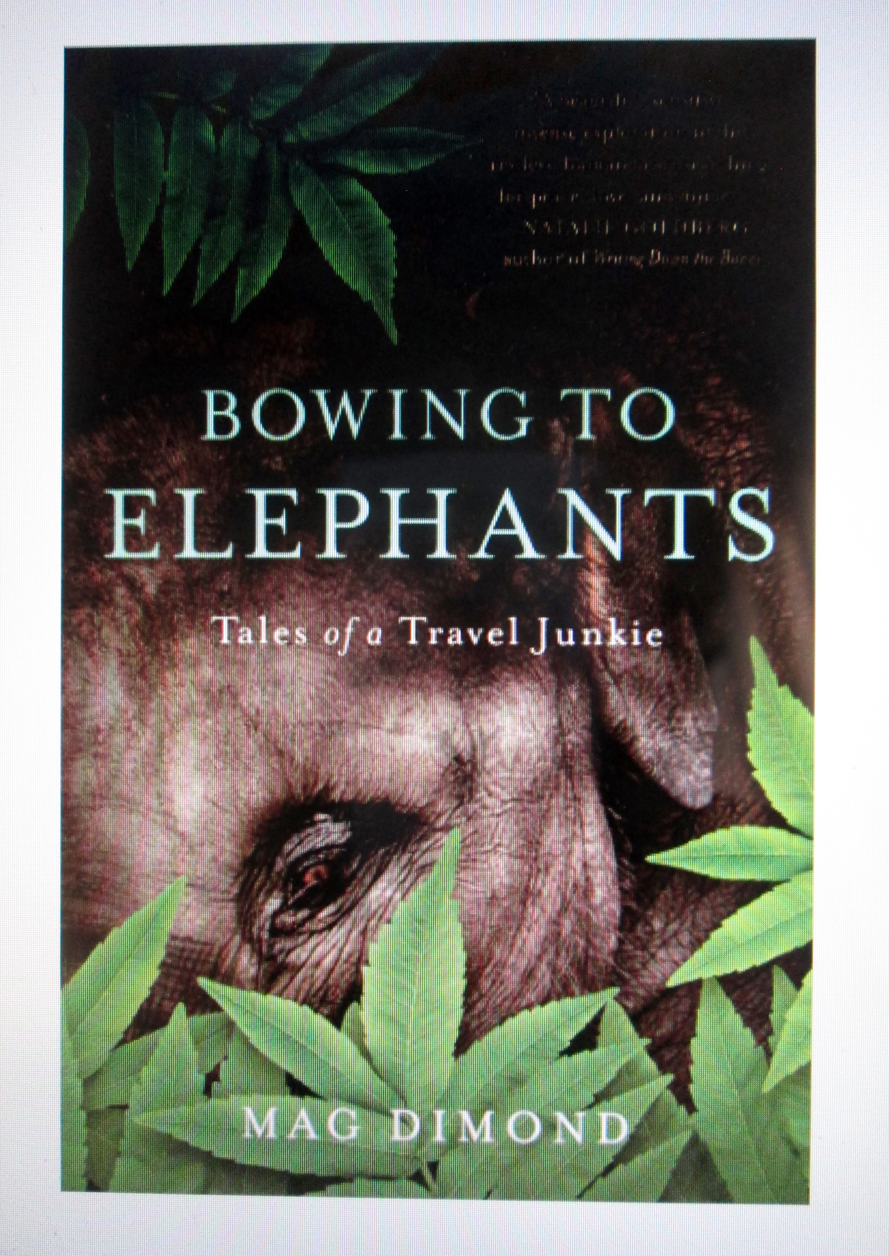 cover of book Bowing to Elephants