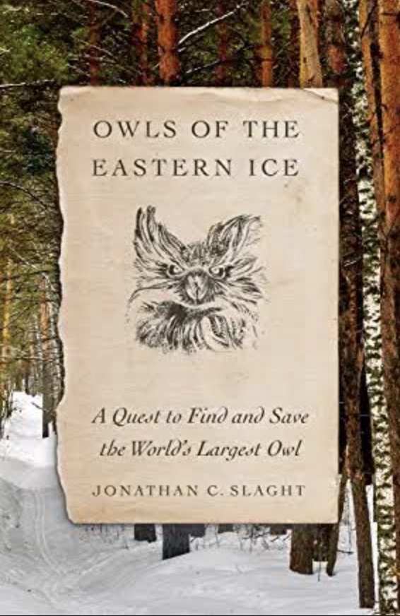 owls of eastern ice